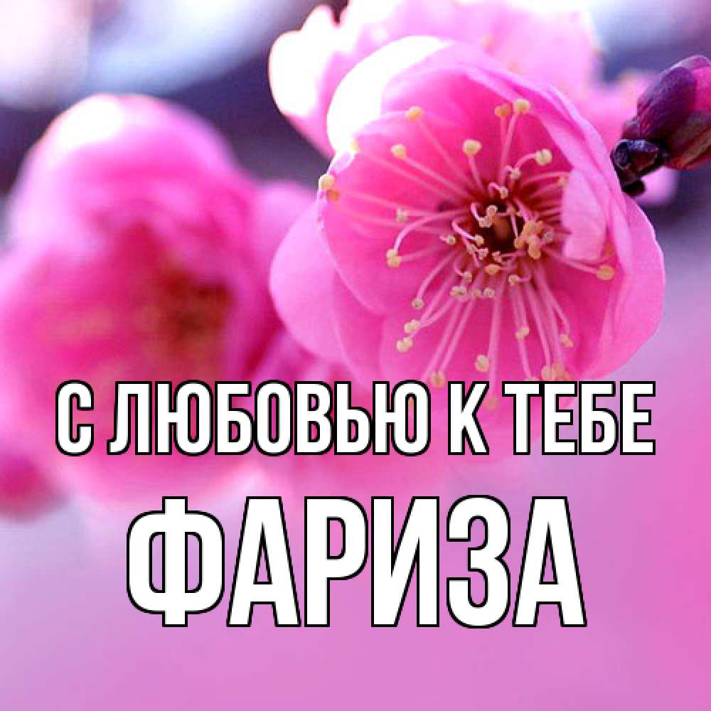 Открытка  с именем. Фариза, С любовью к тебе  