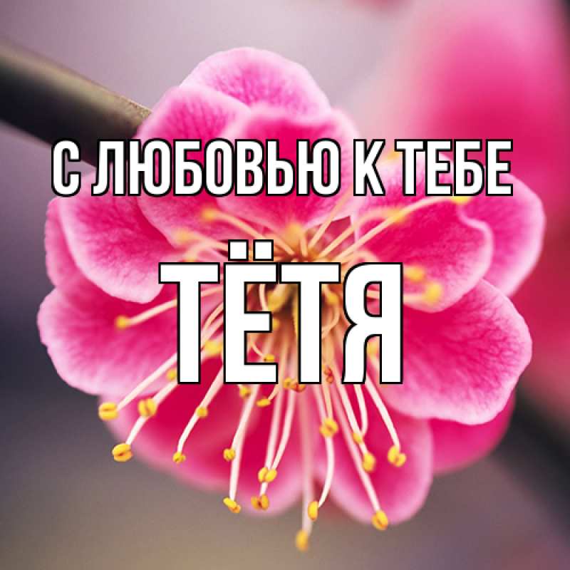 Картинка С любовью к тебе, Тётя