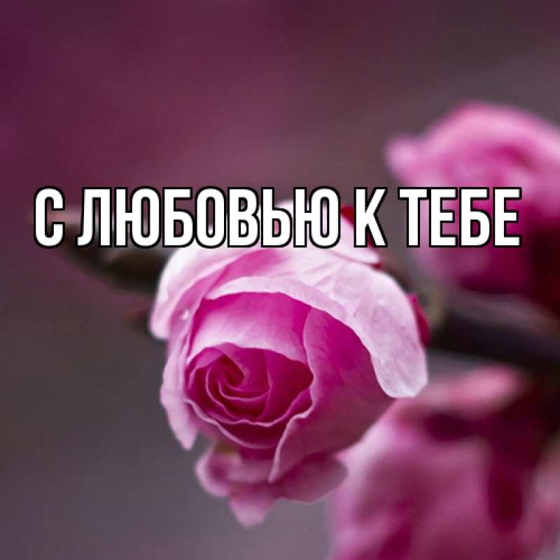 Картинка С любовью к тебе, 