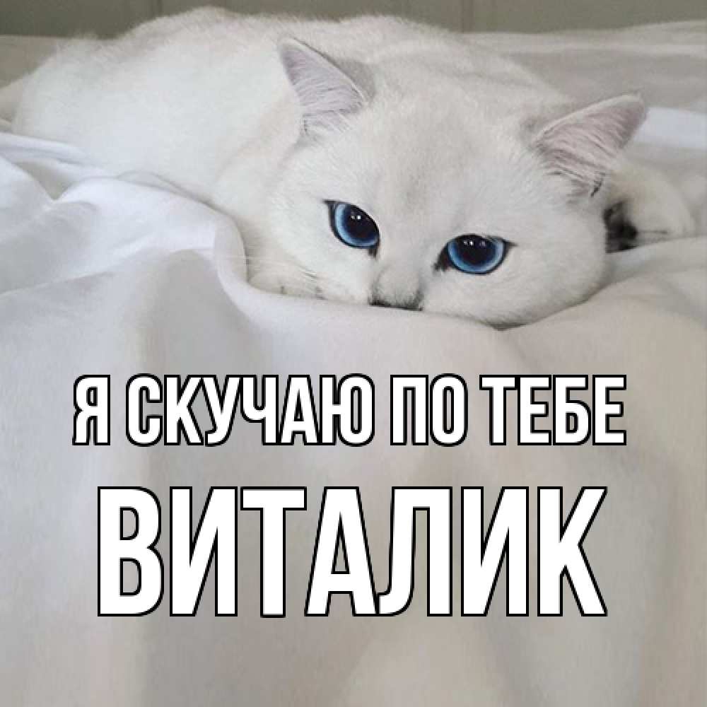 Открытка  с именем. Виталик, Я скучаю по тебе  
