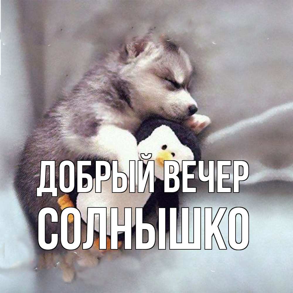 Открытка  с именем. Солнышко, Добрый вечер  
