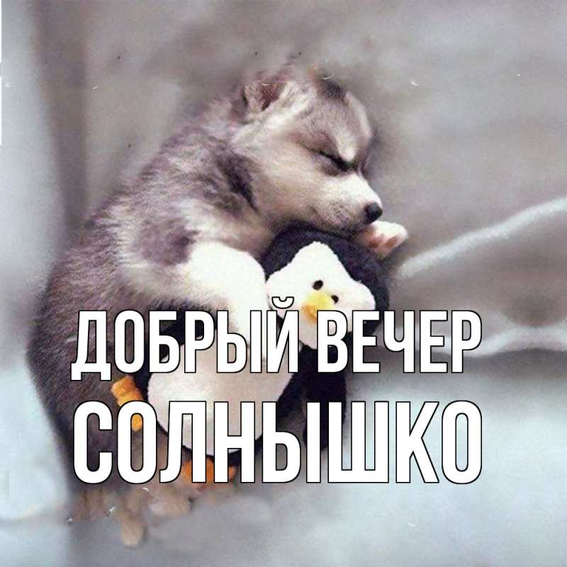 Картинка Добрый вечер, Солнышко