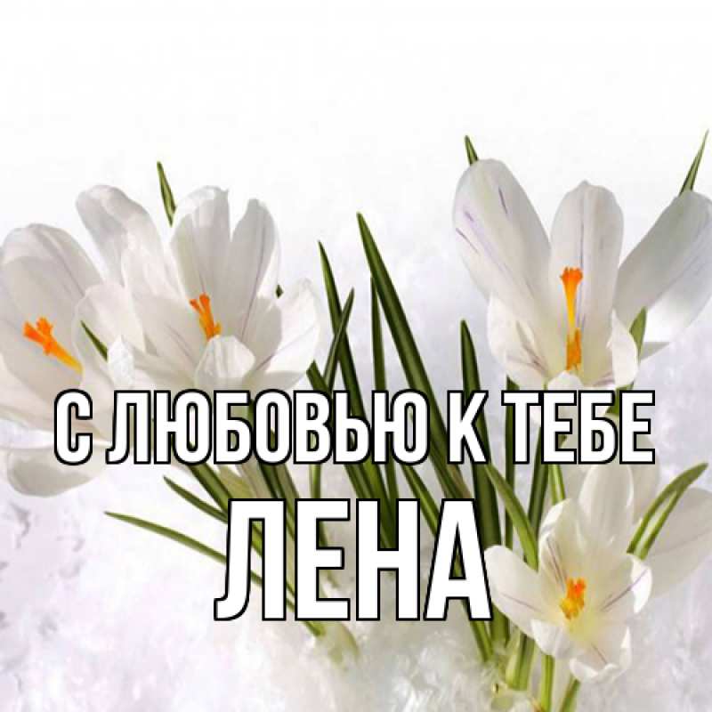 Картинка С любовью к тебе, лена