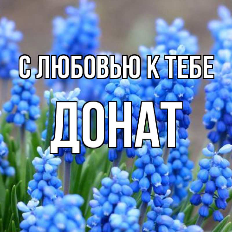 Открытка с именем, Донат, С любовью к тебе