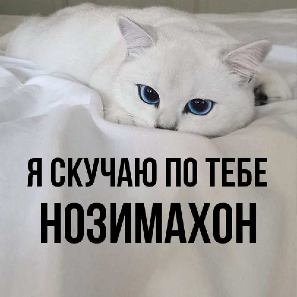 Открытка  с именем. Нозимахон, Я скучаю по тебе  