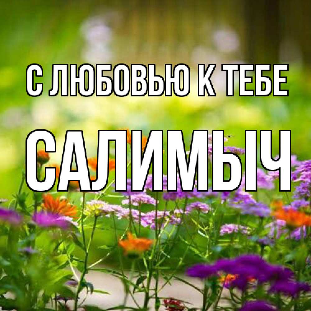 Открытка  с именем. Салимыч, С любовью к тебе  