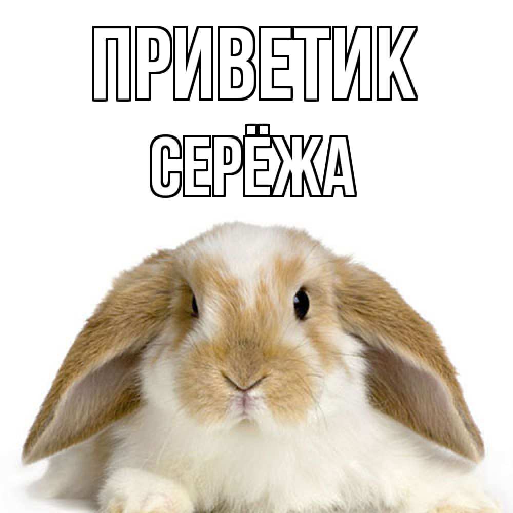 Открытка  с именем. Серёжа, приветик  