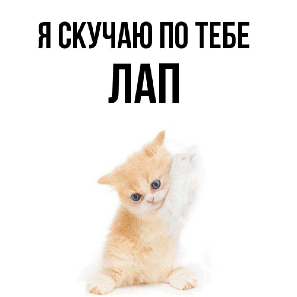 Открытка  с именем. Лап, Я скучаю по тебе  