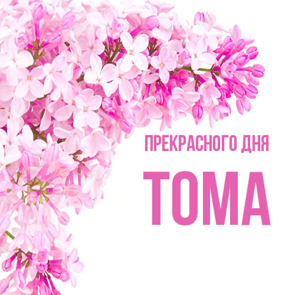 Открытка  с именем. Тома, Прекрасного дня  