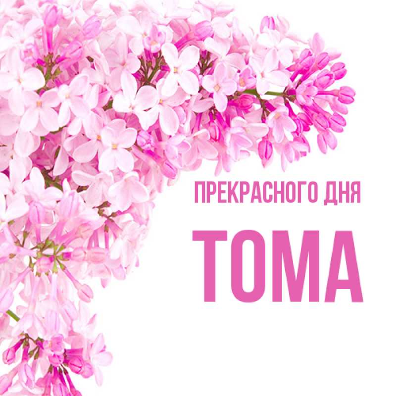 Картинка Прекрасного дня, Тома