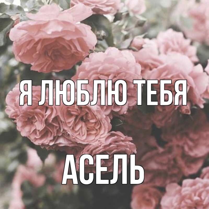 Картинка Я люблю тебя, Асель