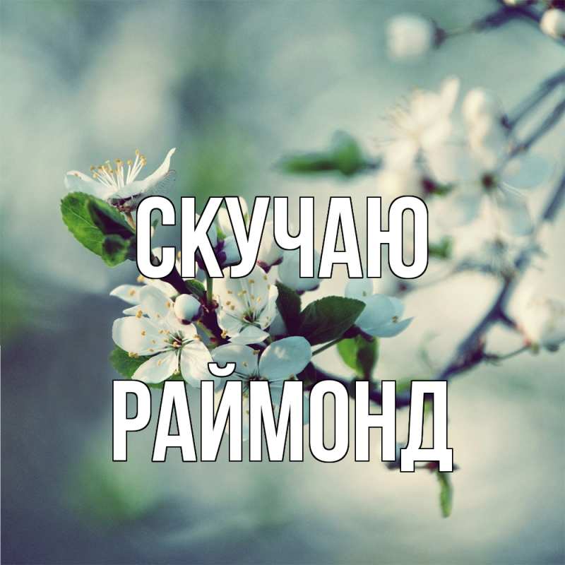 Картинка Скучаю, Раймонд