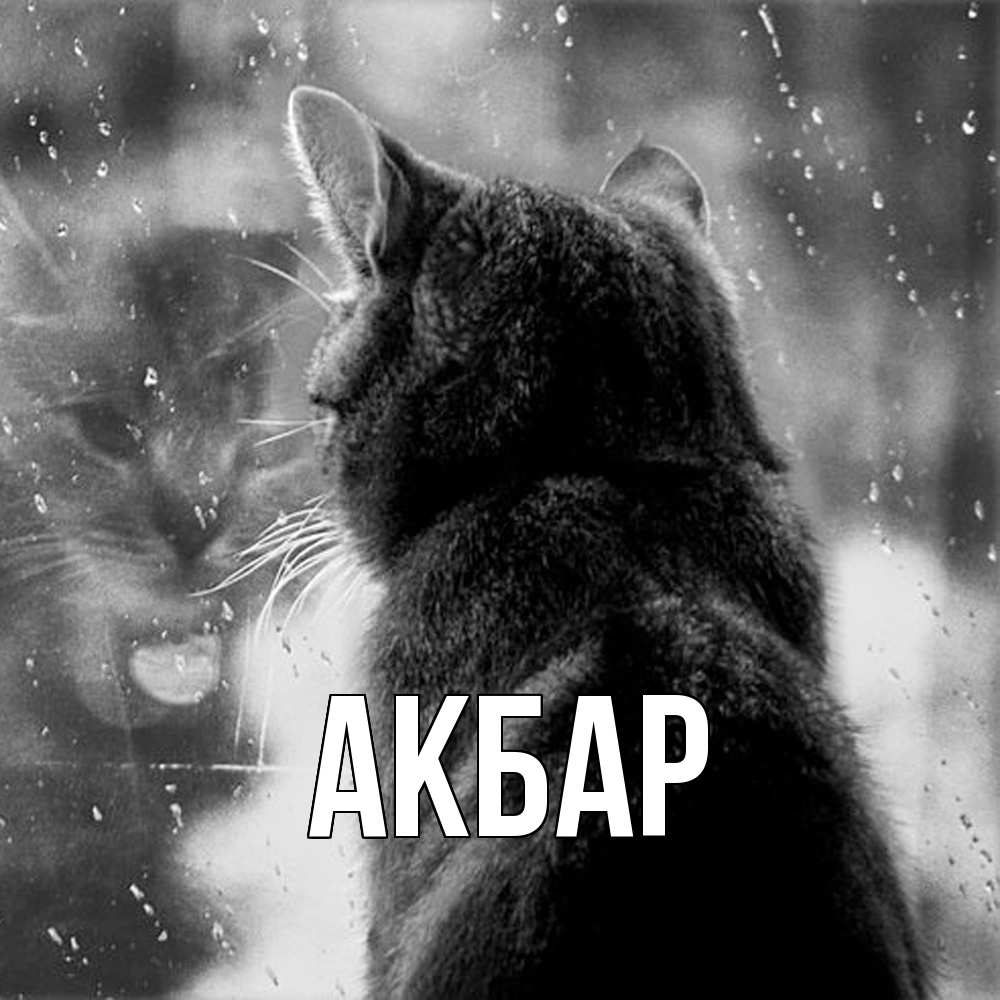 Открытка  с именем. Акбар, Главная  