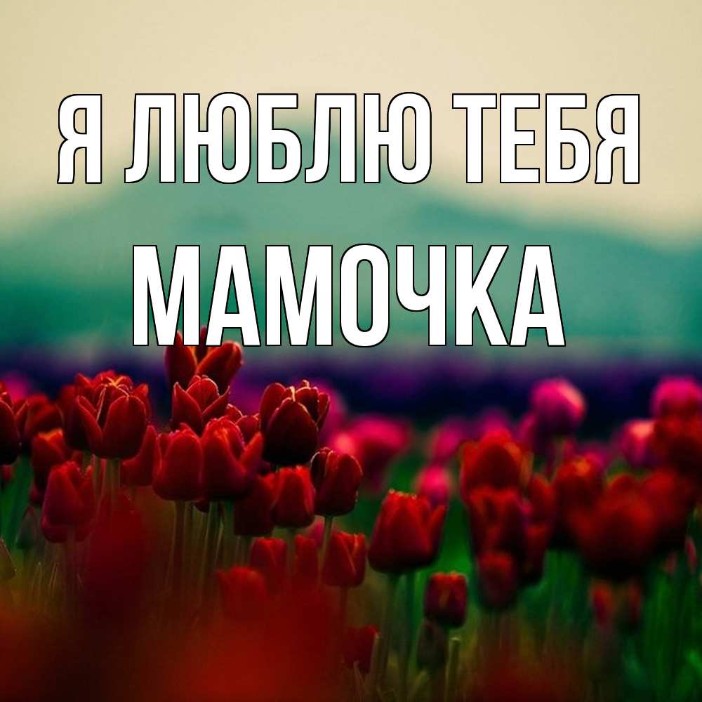 Открытка  с именем. Мамочка, Я люблю тебя  