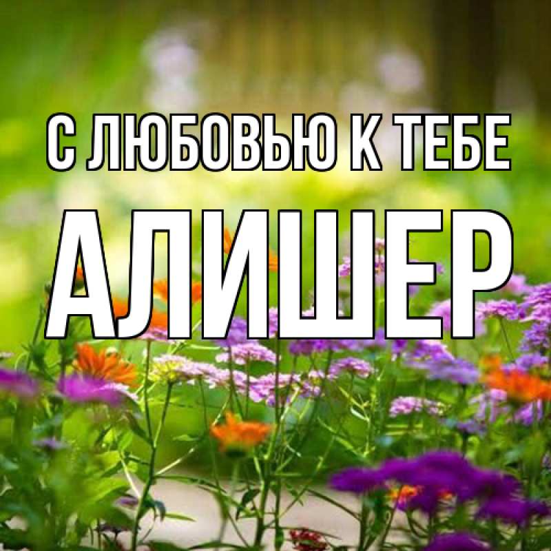 Картинка С любовью к тебе, Алишер