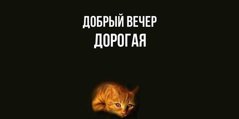 Открытка с именем, Дорогая, Добрый вечер