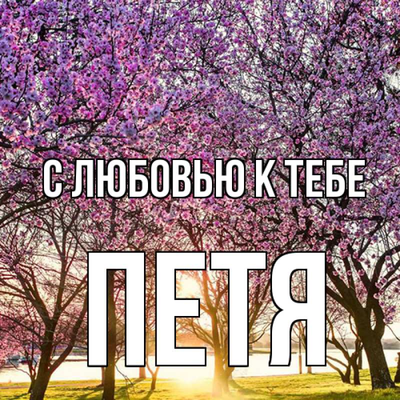 Картинка С любовью к тебе, петя
