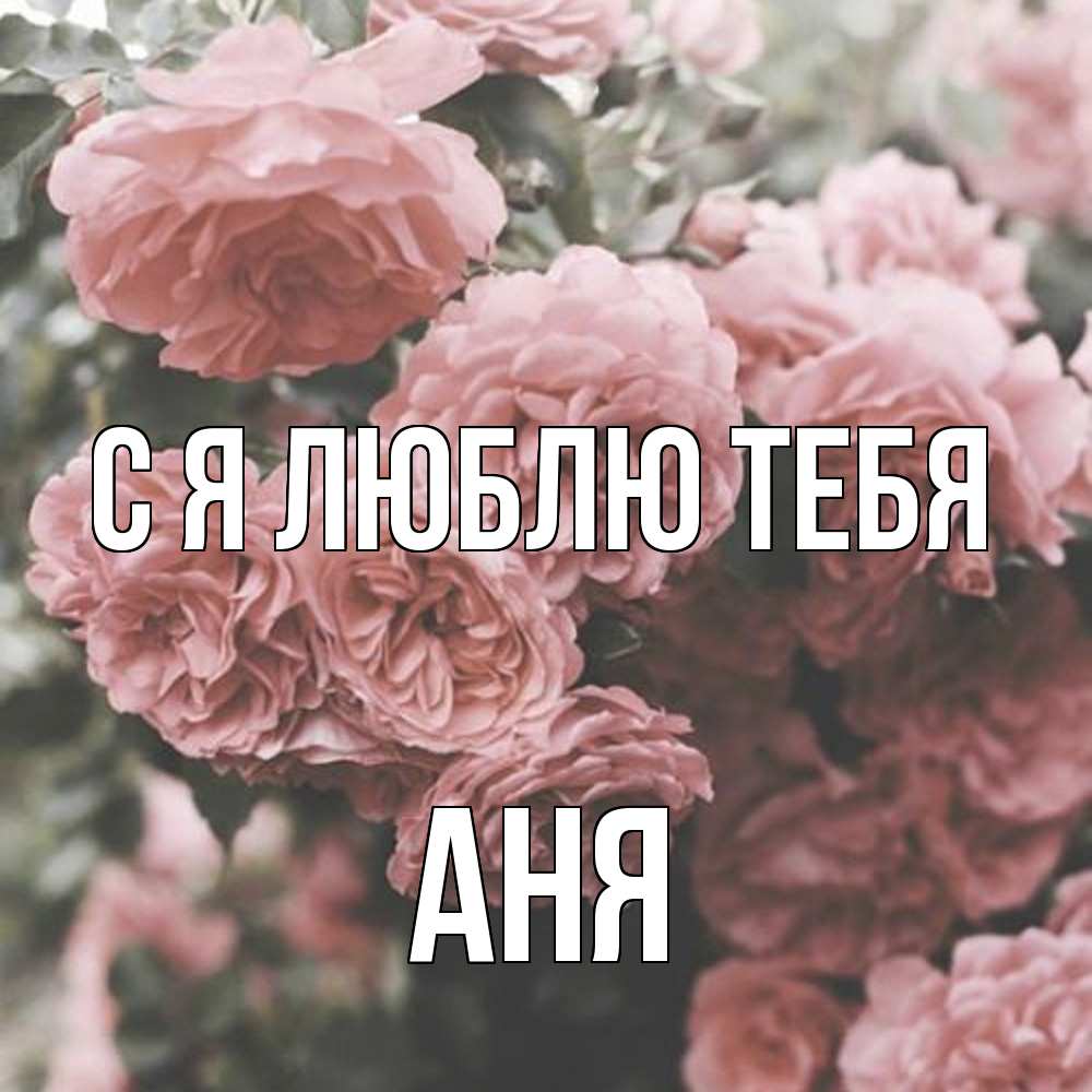 Открытка  с именем. Аня, Я люблю тебя  