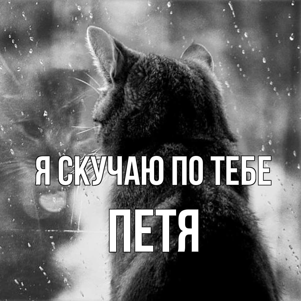 Открытка  с именем. Петя, Я скучаю по тебе  