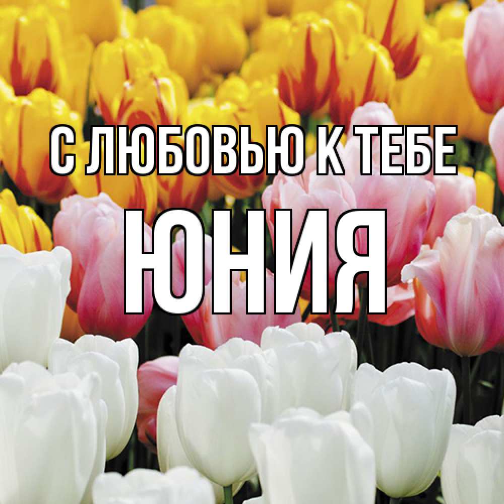 Открытка  с именем. Юния, С любовью к тебе  