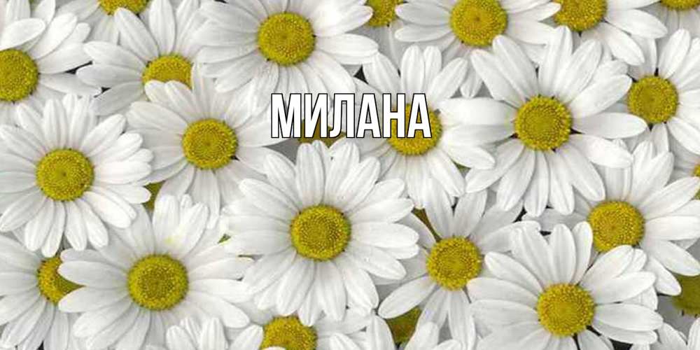 Открытка  с именем. Милана, Главная  