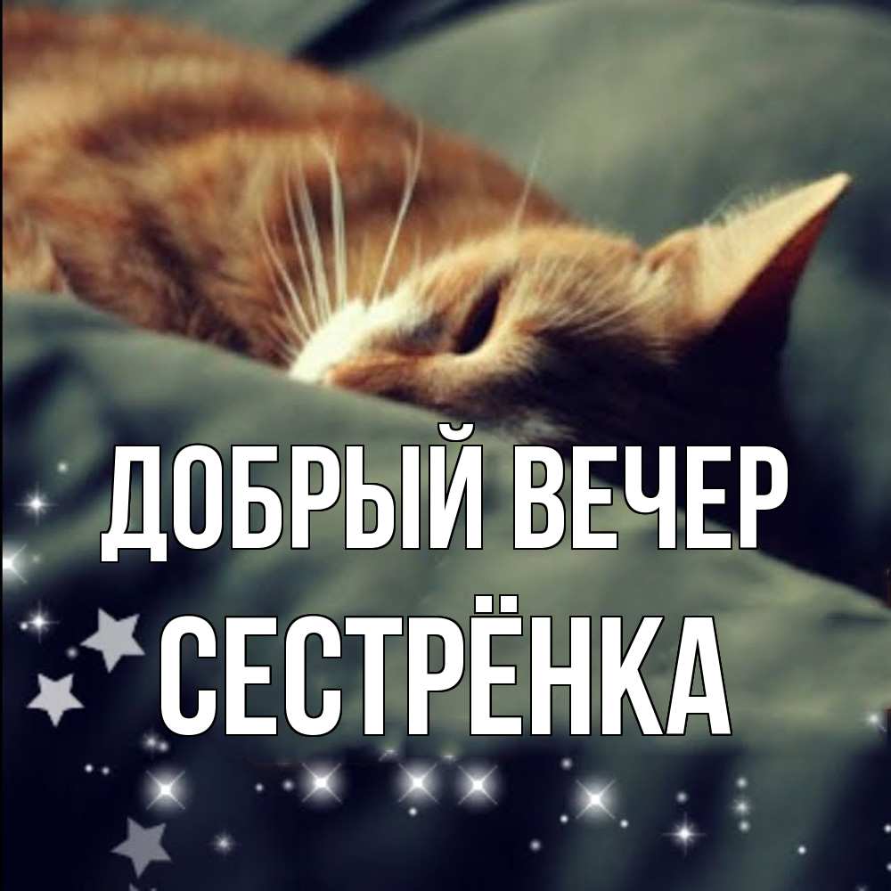 Открытка  с именем. Сестрёнка, Добрый вечер  