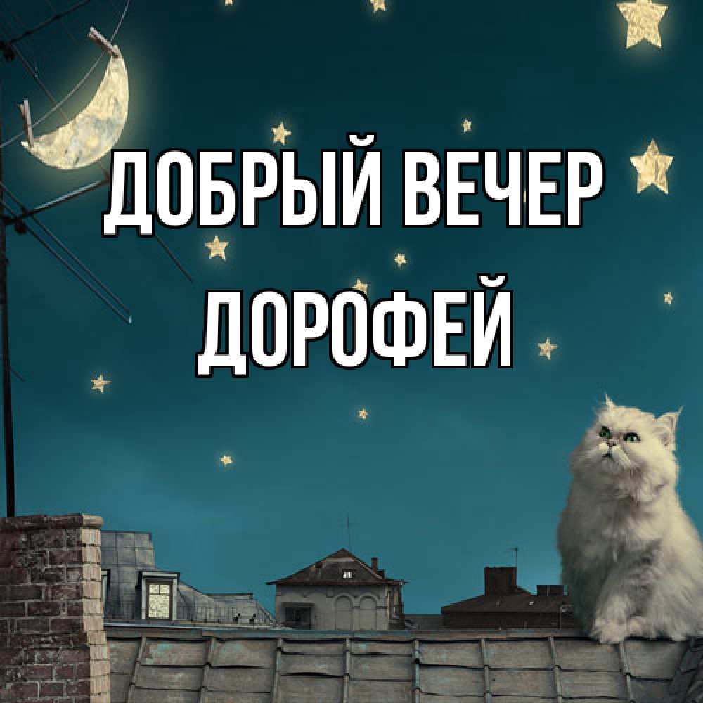 Открытка  с именем. Дорофей, Добрый вечер  