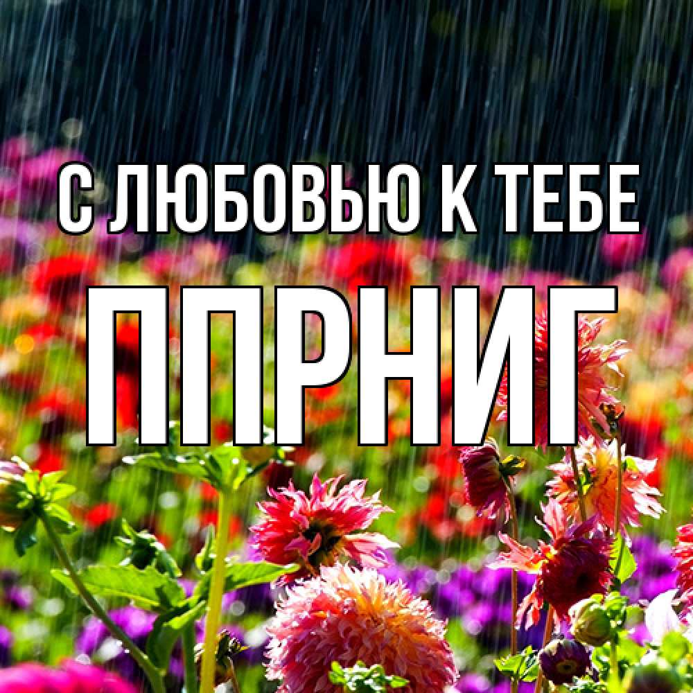 Открытка  с именем. Ппрниг, С любовью к тебе  