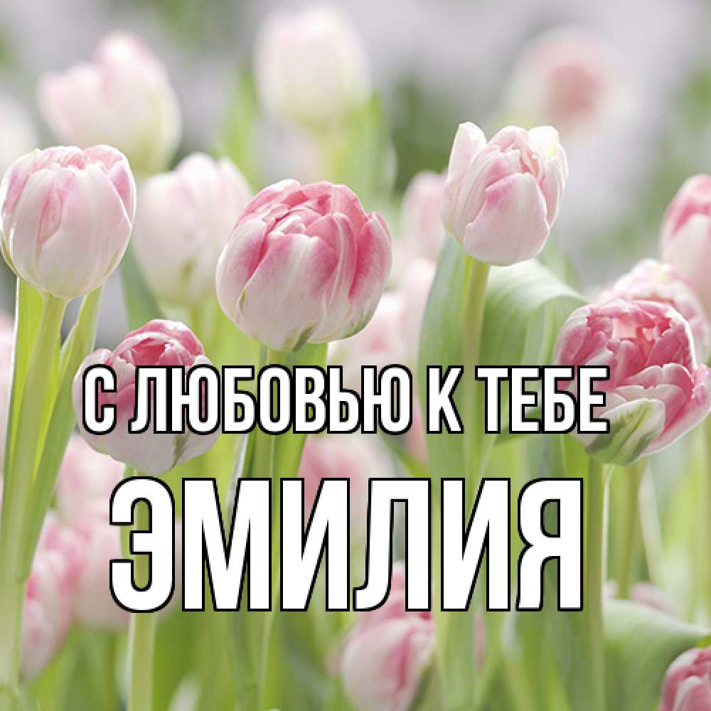 Открытка  с именем. Эмилия, С любовью к тебе  