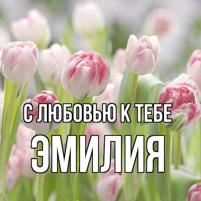 Картинка С любовью к тебе, Эмилия