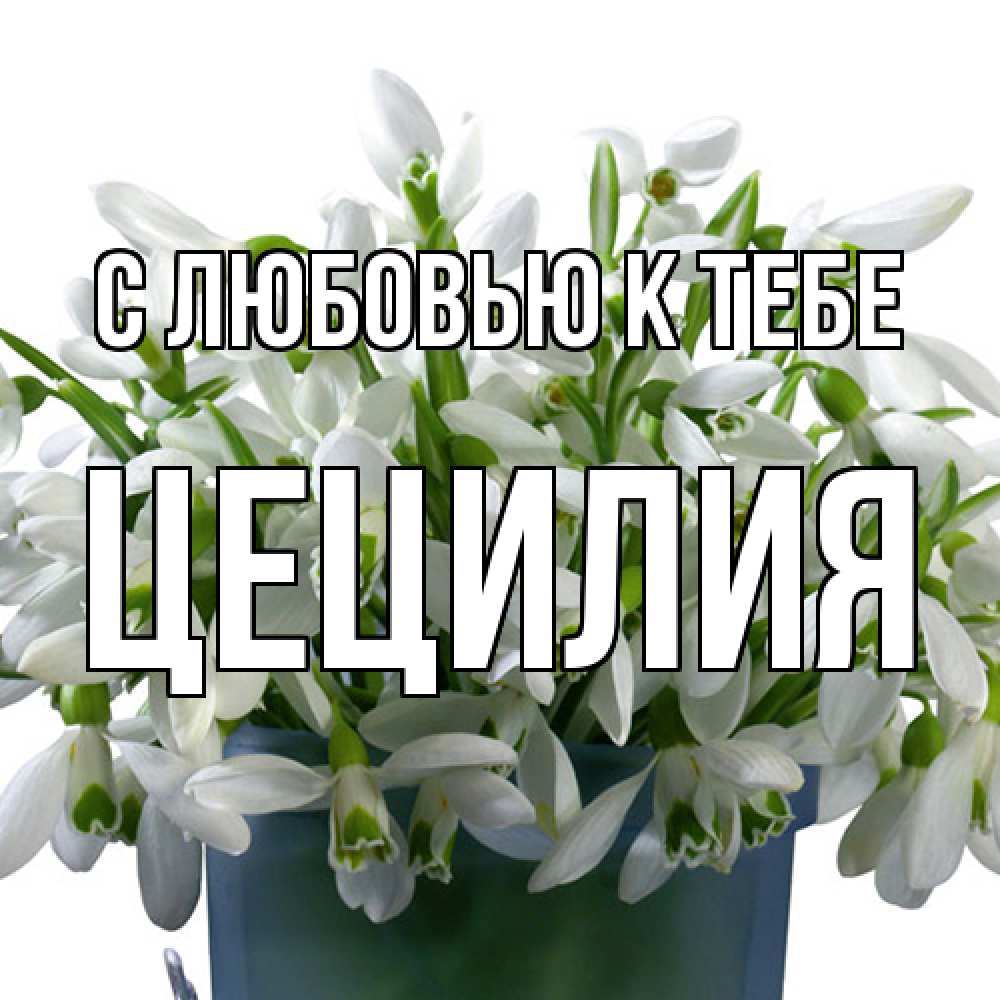 Открытка  с именем. Цецилия, С любовью к тебе  