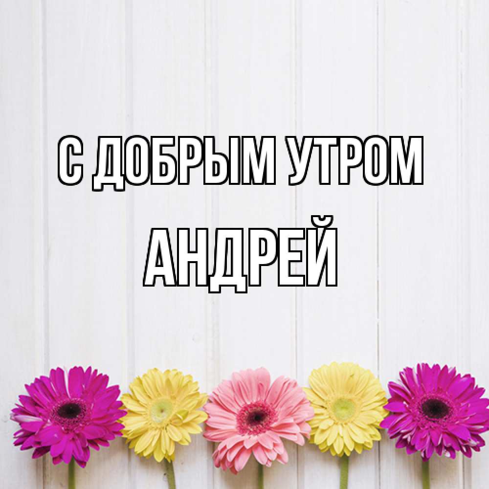 Открытка  с именем. Андрей, С добрым утром  