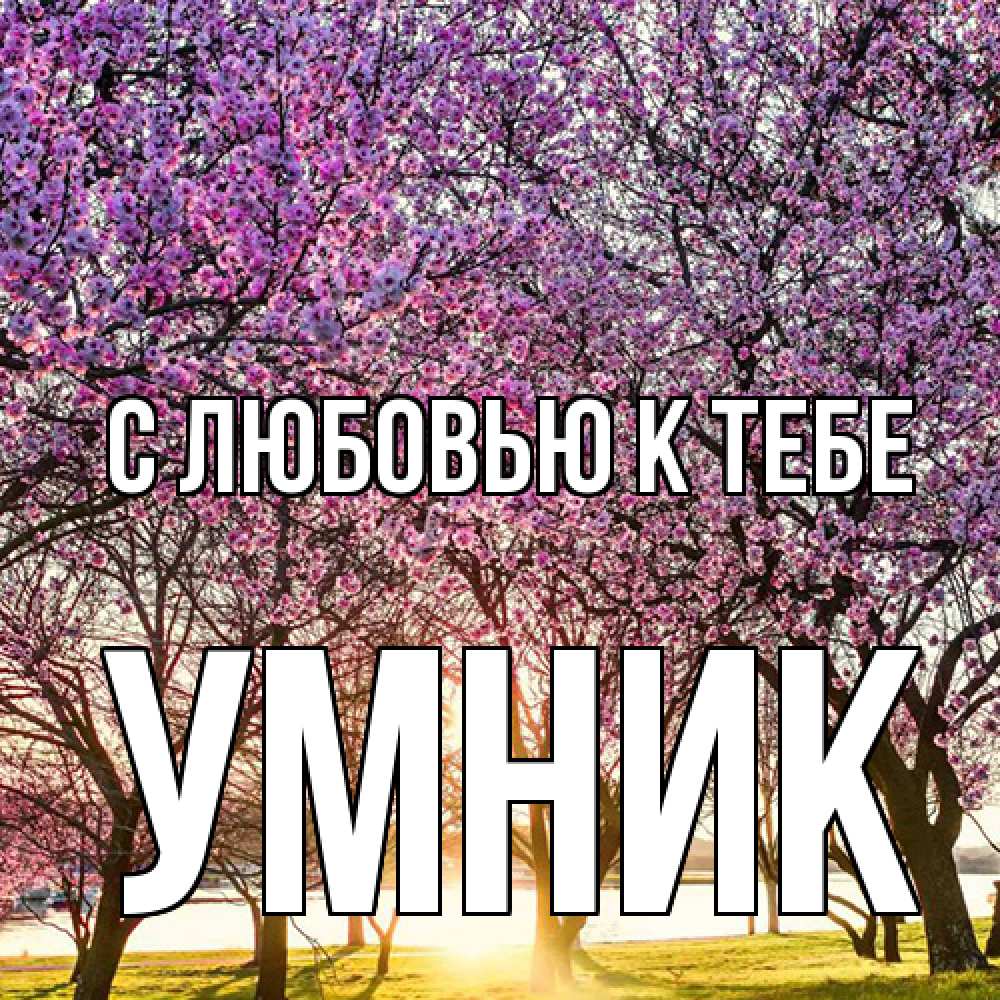 Открытка  с именем. Умник, С любовью к тебе  