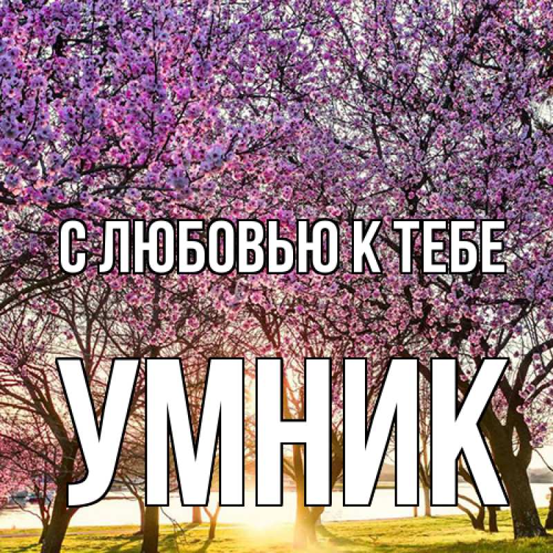 Картинка С любовью к тебе, Умник