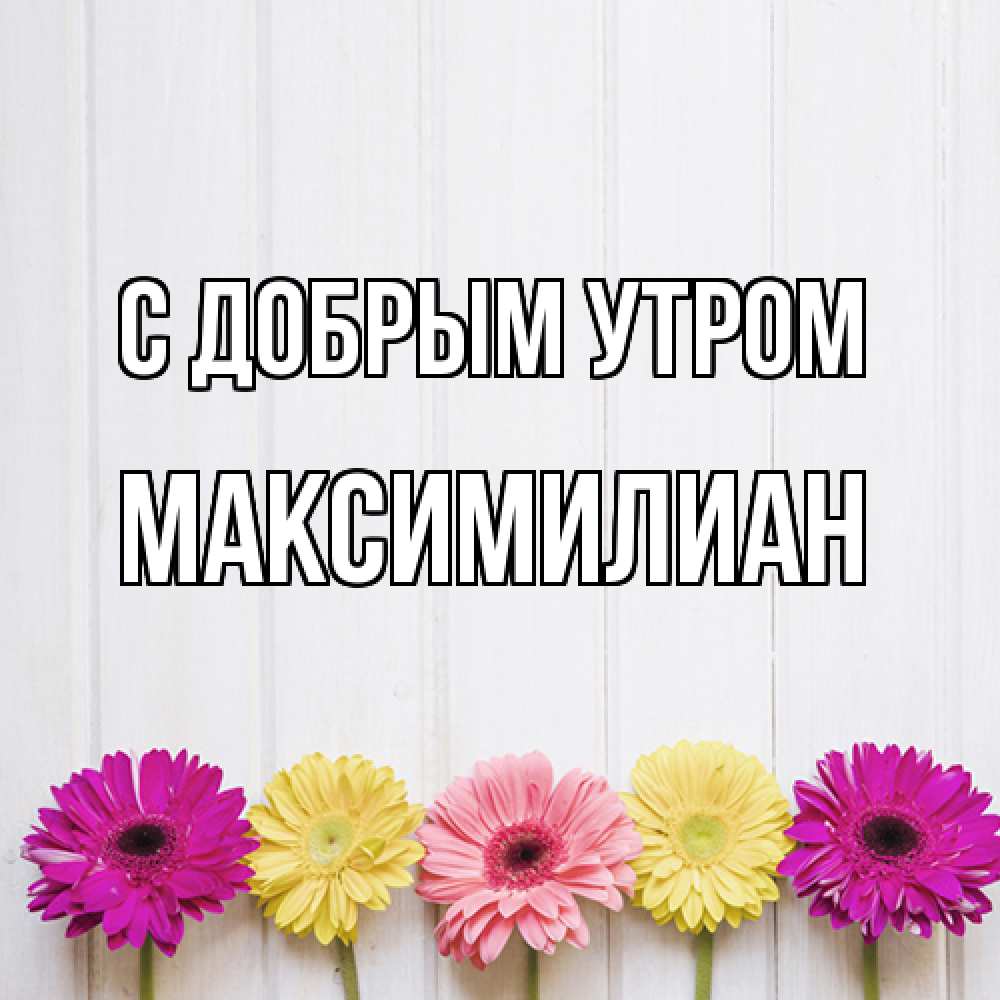 Открытка  с именем. Максимилиан, С добрым утром  