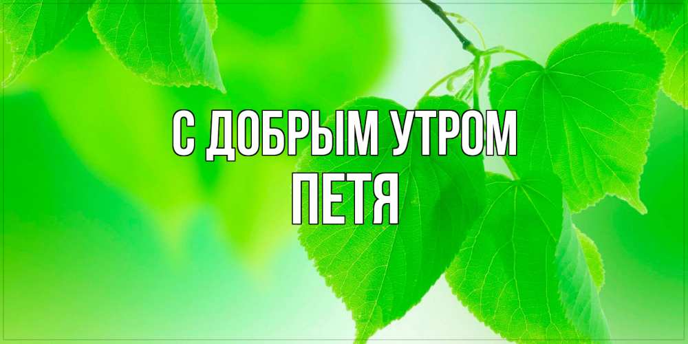 Открытка  с именем. Петя, С добрым утром  