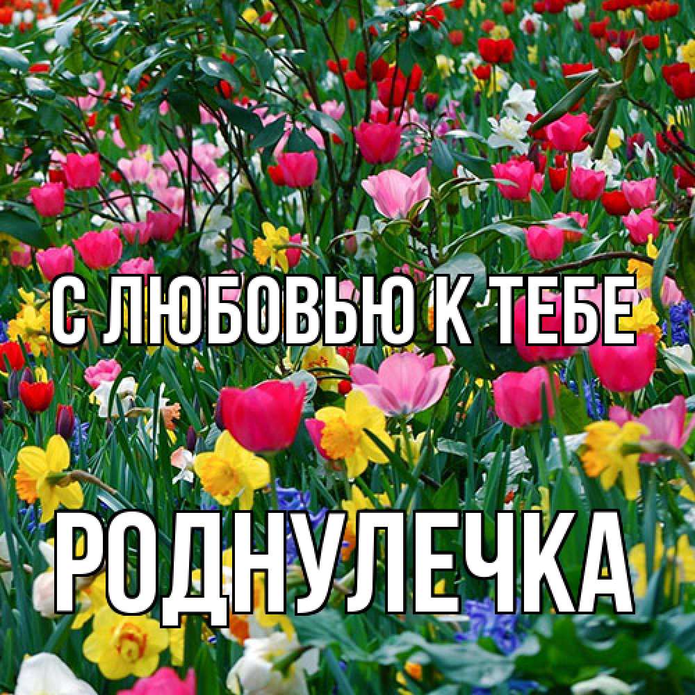 Открытка  с именем. Роднулечка, С любовью к тебе  