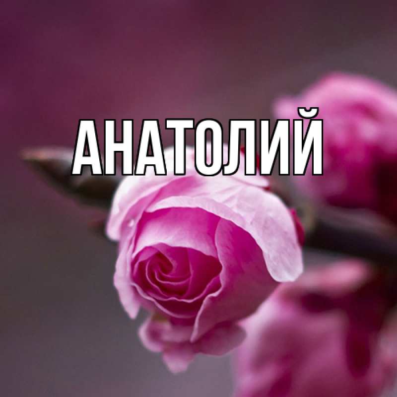 Картинка  с именем , Анатолий