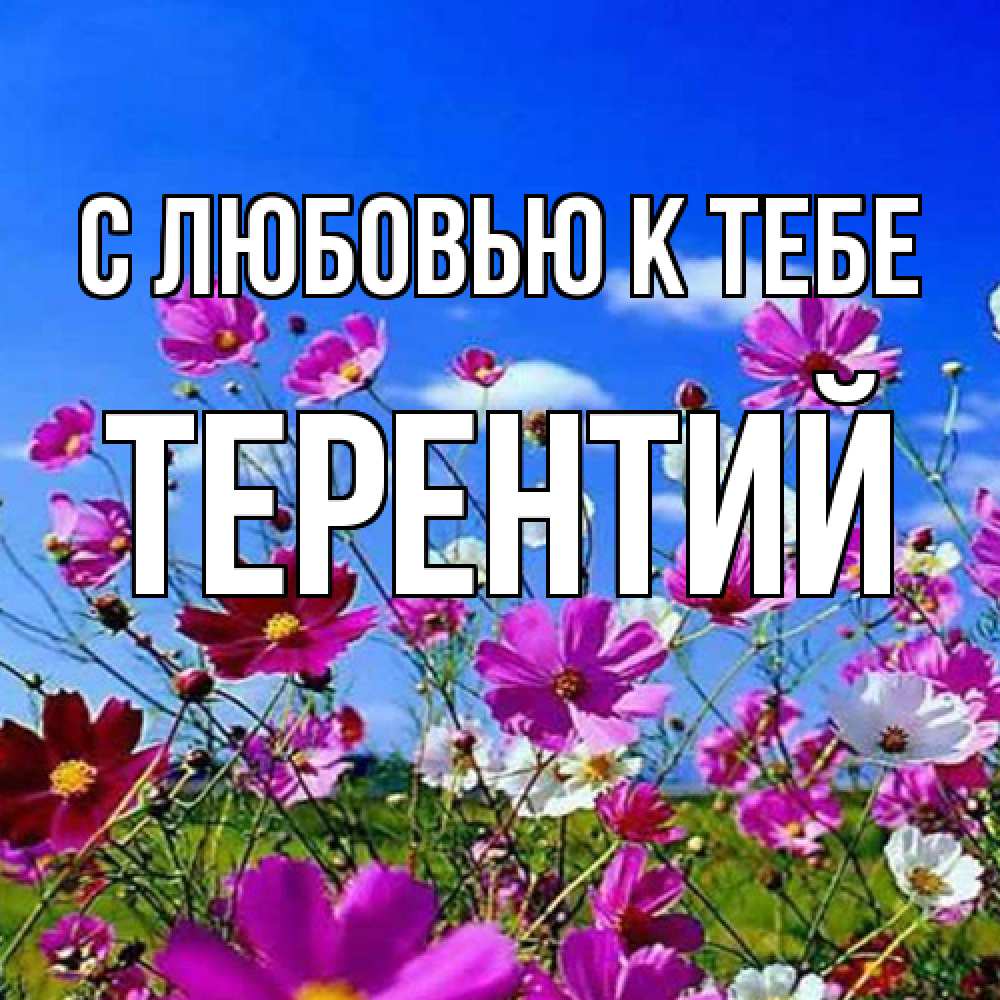 Открытка  с именем. Терентий, С любовью к тебе  