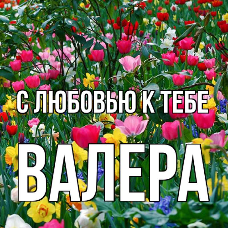 Картинка С любовью к тебе, Валера