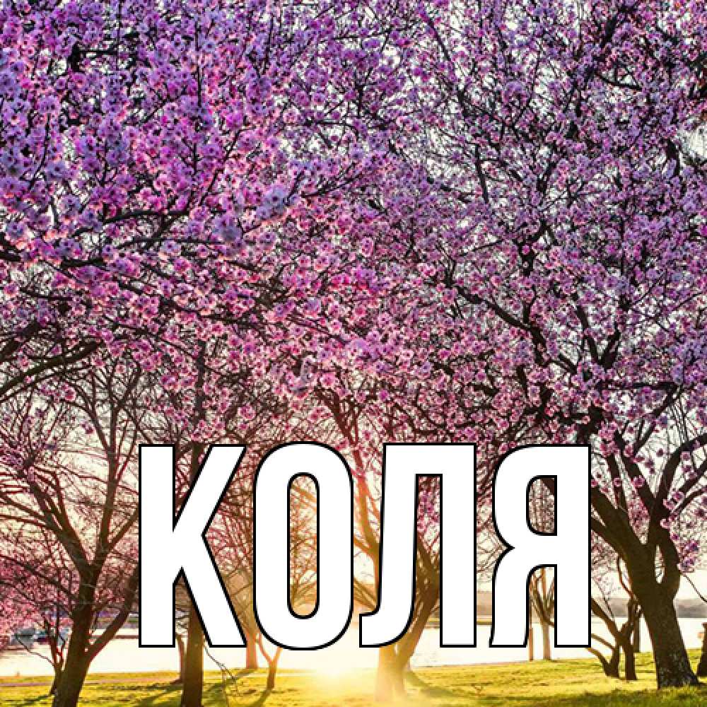 Открытка  с именем. коля, Главная  