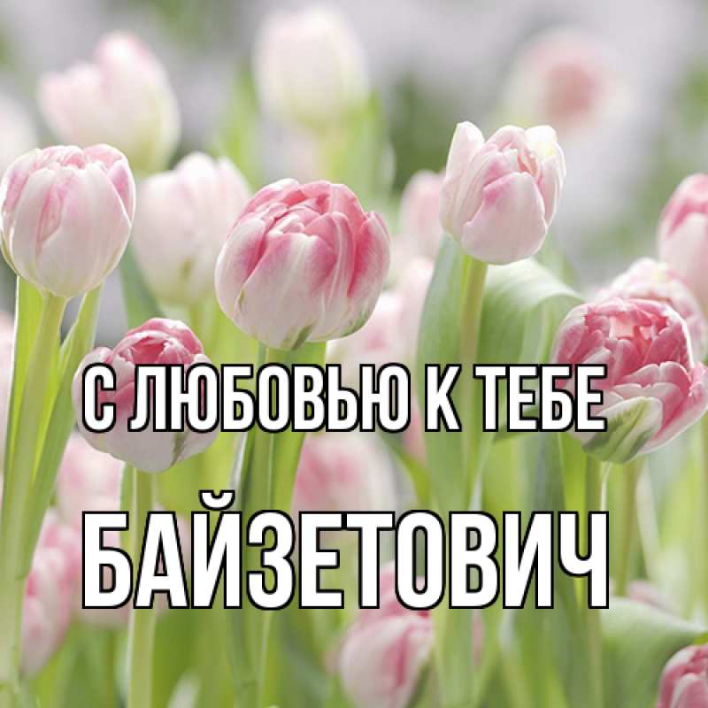 Картинка С любовью к тебе, Байзетович