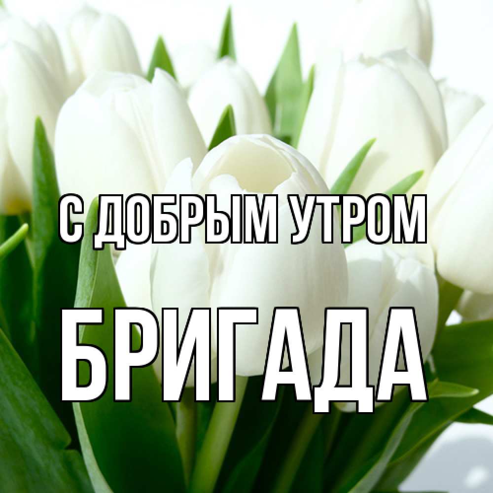 Открытка  с именем. Бригада, С добрым утром  