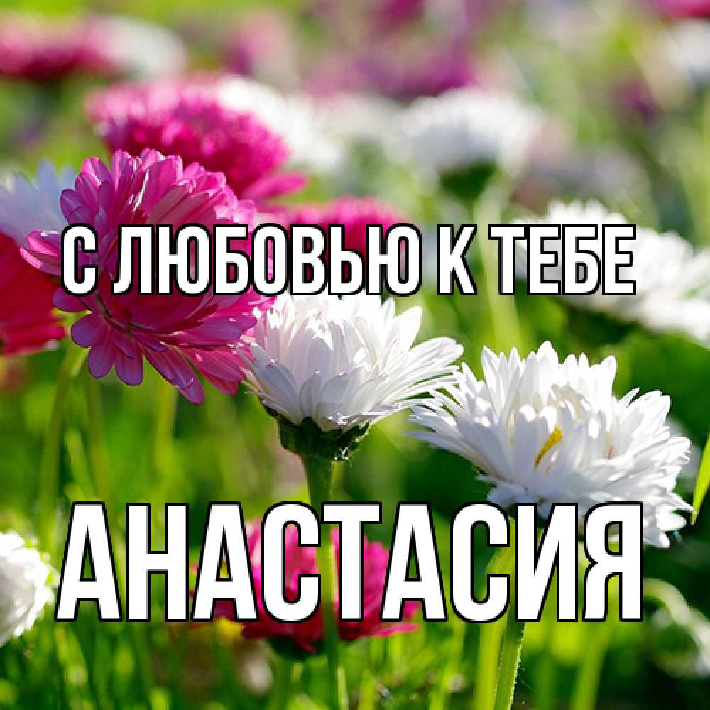 Открытка  с именем. Анастасия, С любовью к тебе  