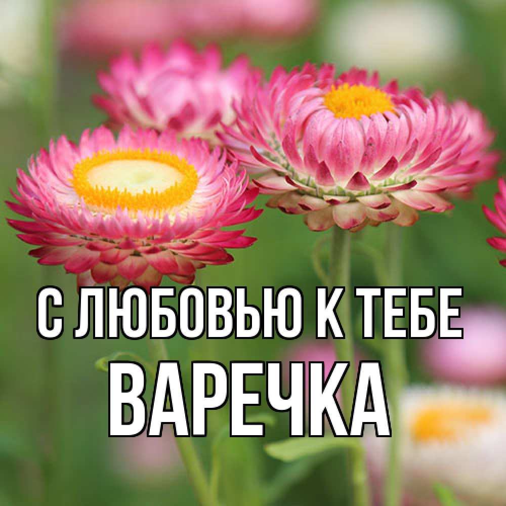 Открытка  с именем. Варечка, С любовью к тебе  