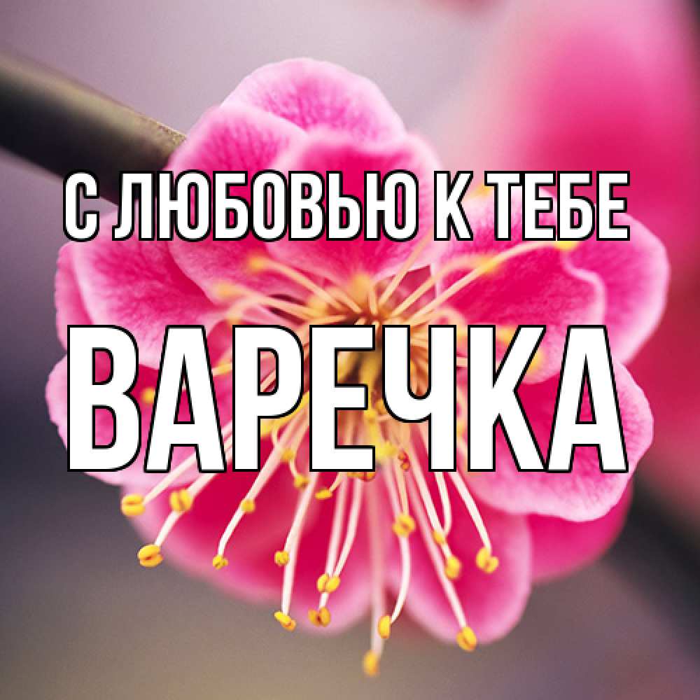 Открытка  с именем. Варечка, С любовью к тебе  
