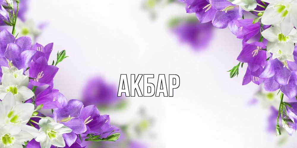 Открытка  с именем. Акбар, Главная  