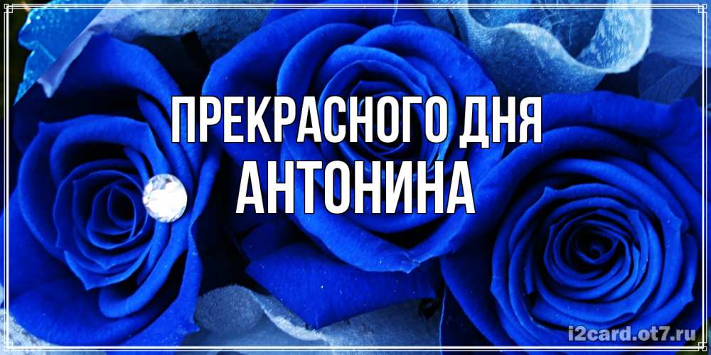 Открытка  с именем. Антонина, Прекрасного дня  