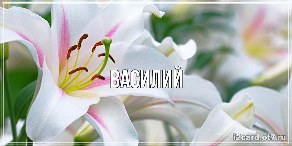 Открытка  с именем. Василий, Главная  