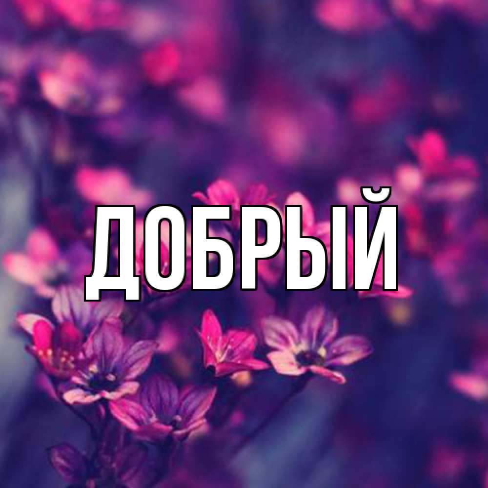 Открытка  с именем. Добрый, Главная  